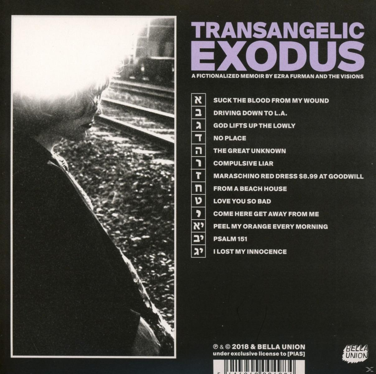 Ezra Furman - Transangelic Exodus  - (CD)