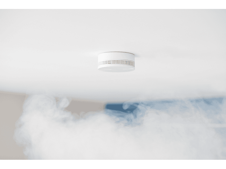 Vista 3