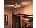 PHILIPS HUE Ambiance blanche buckram - Double spot (Blanc)