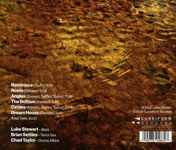 Luke Stewart's Silt Trio - The Bottom  - (CD)