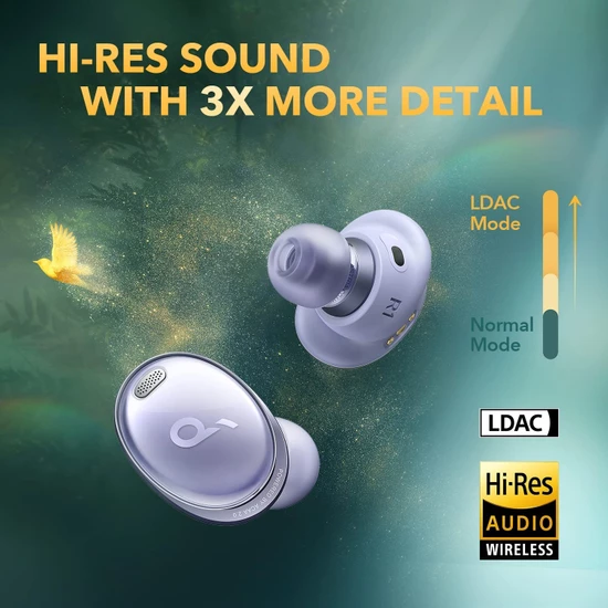 'HI-RES SOUND WITH 3X MORE DETAIL' yazılı kulaklıklar. Arka plan yapraklar ve uçan bir kuş gösteriyor.