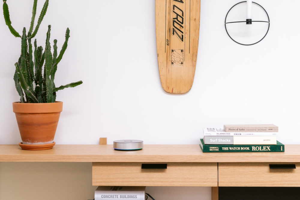 A desk with a plant, books, a smart speaker, and a skateboard.