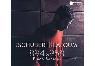 Adam Laloum - Schubert: Piano Sonatas 894 & 958 (CD)