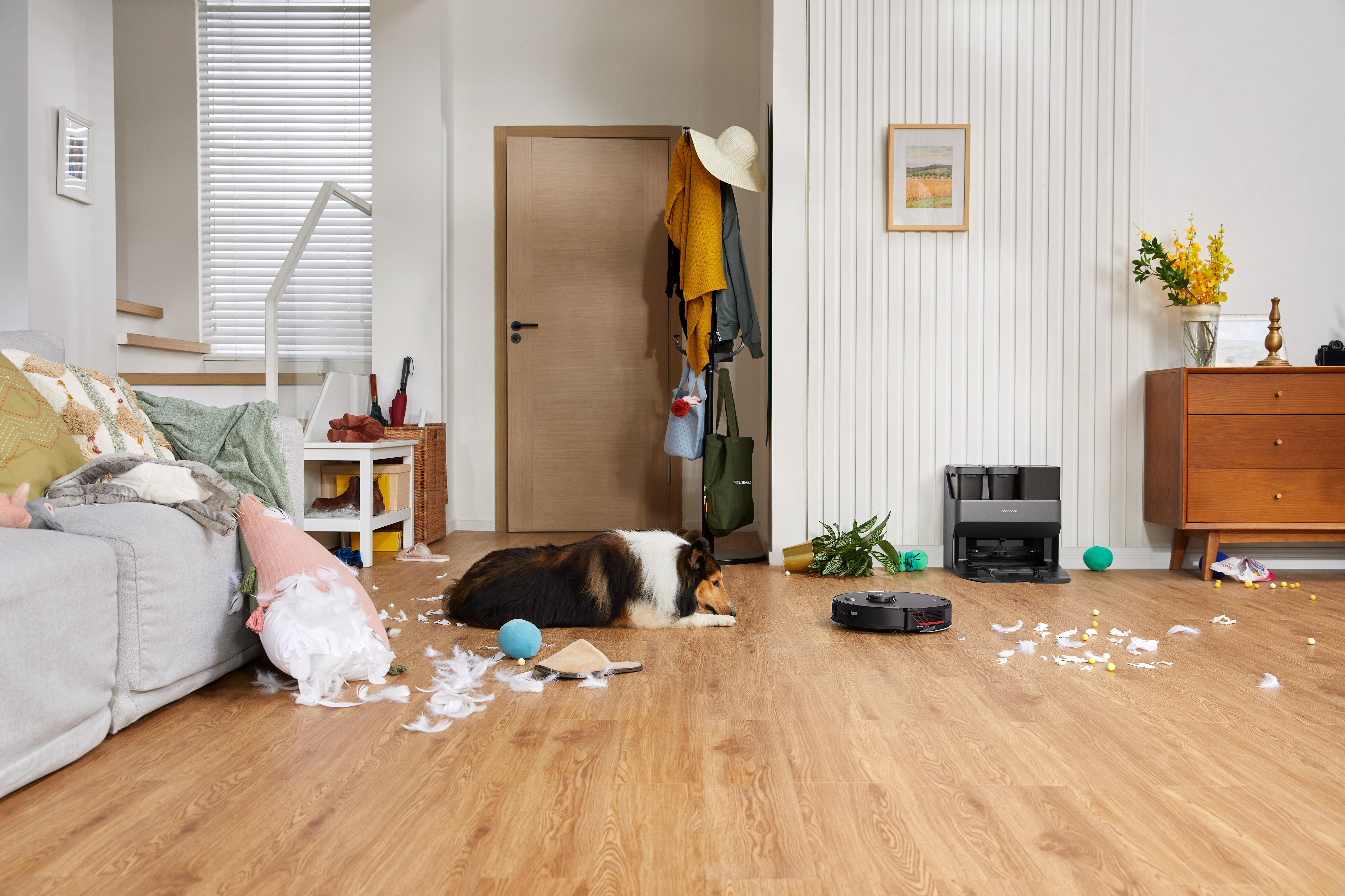 Ein Roboter-Staubsauger auf einem Holzboden. Ein Hund liegt auf dem Boden. Trümmer sind verstreut.