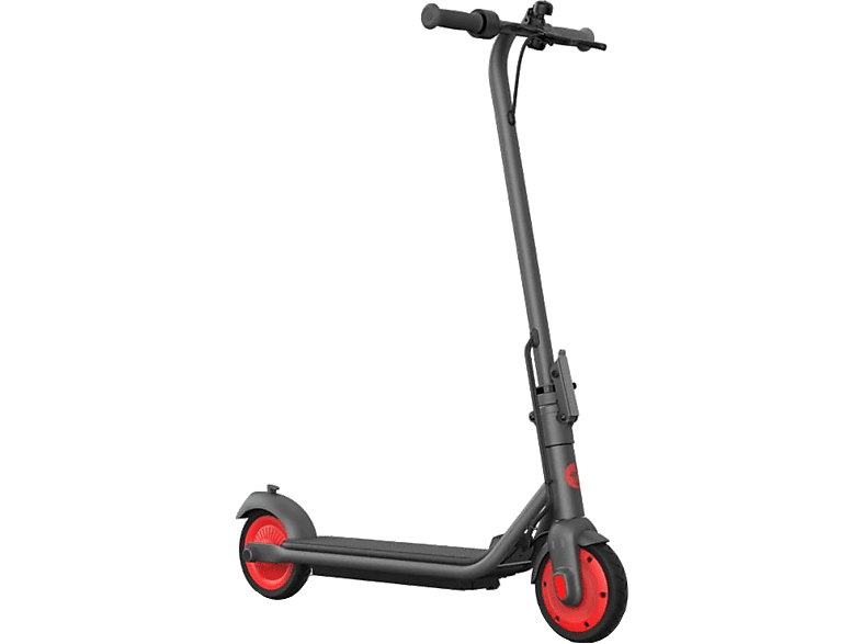 Ninebot By Segway Ninebot By Segway Ekickscooter Zing C20