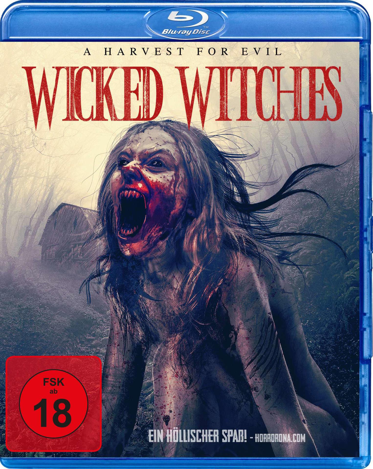 Filmcover: schreiende Frau mit blutigem Gesicht, Titel 'Wicked Witches', brennendes Gebäude.