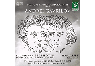 Giovanni Albini - MUSIC AS LIVING CONSCIOUSNESS VOl.2  - (CD)