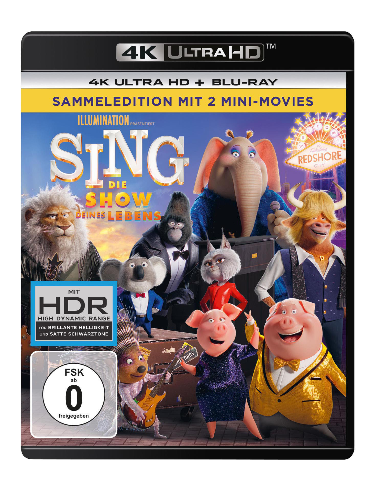 Filmcover: animierte Charaktere singen, Titel 'Sing', verschiedene Charaktere und Text auf Deutsch.