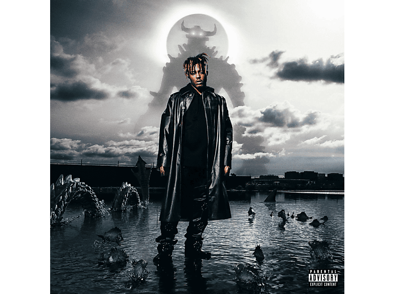 Juice Wrld Juice Wrld Fighting Demons (CD) Hip Hop & R&B CDs
