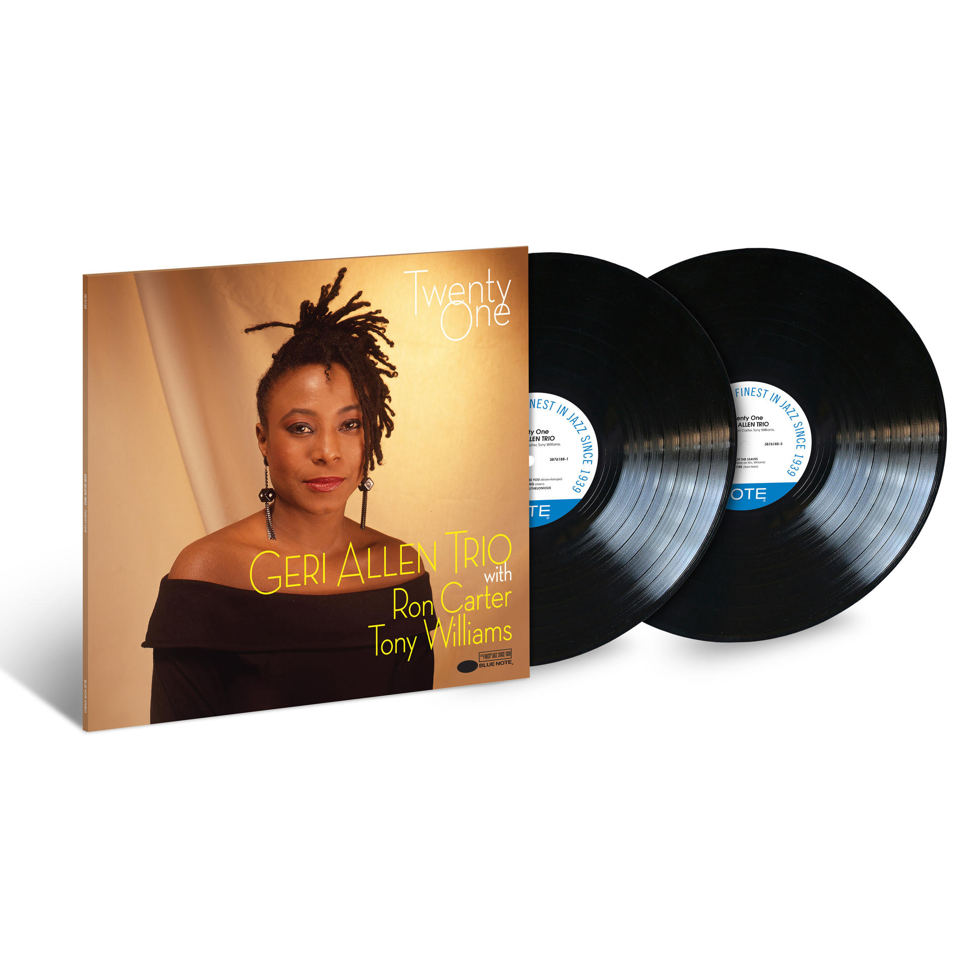 Vinyl-Albumcover mit Frau mit Dreadlocks. Zwei Vinylplatten neben dem Cover.