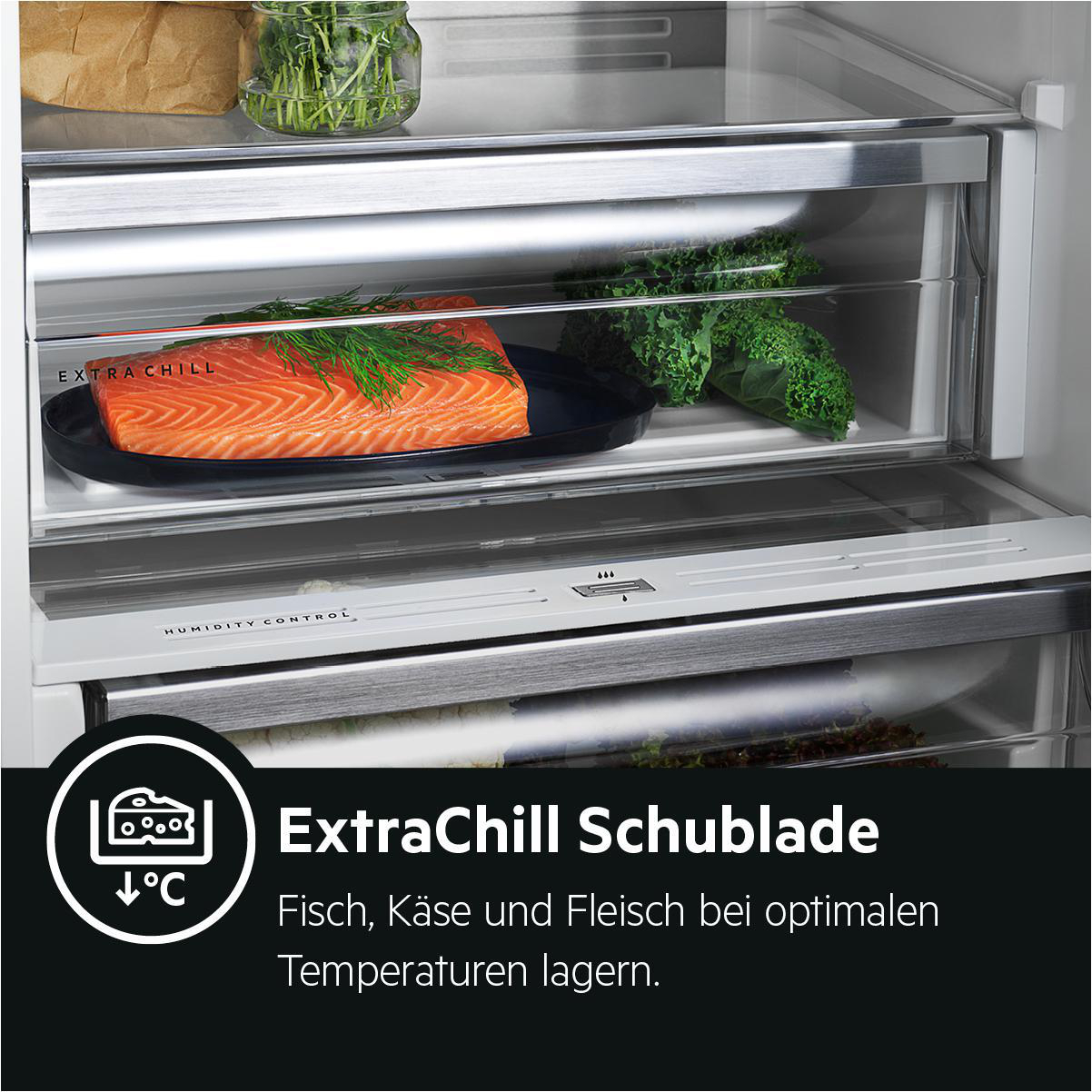 AEG RCB736D5MX Kühlgefrierkombination (D, 366 l, 2010 mm hoch, Edelstahl/Grau)