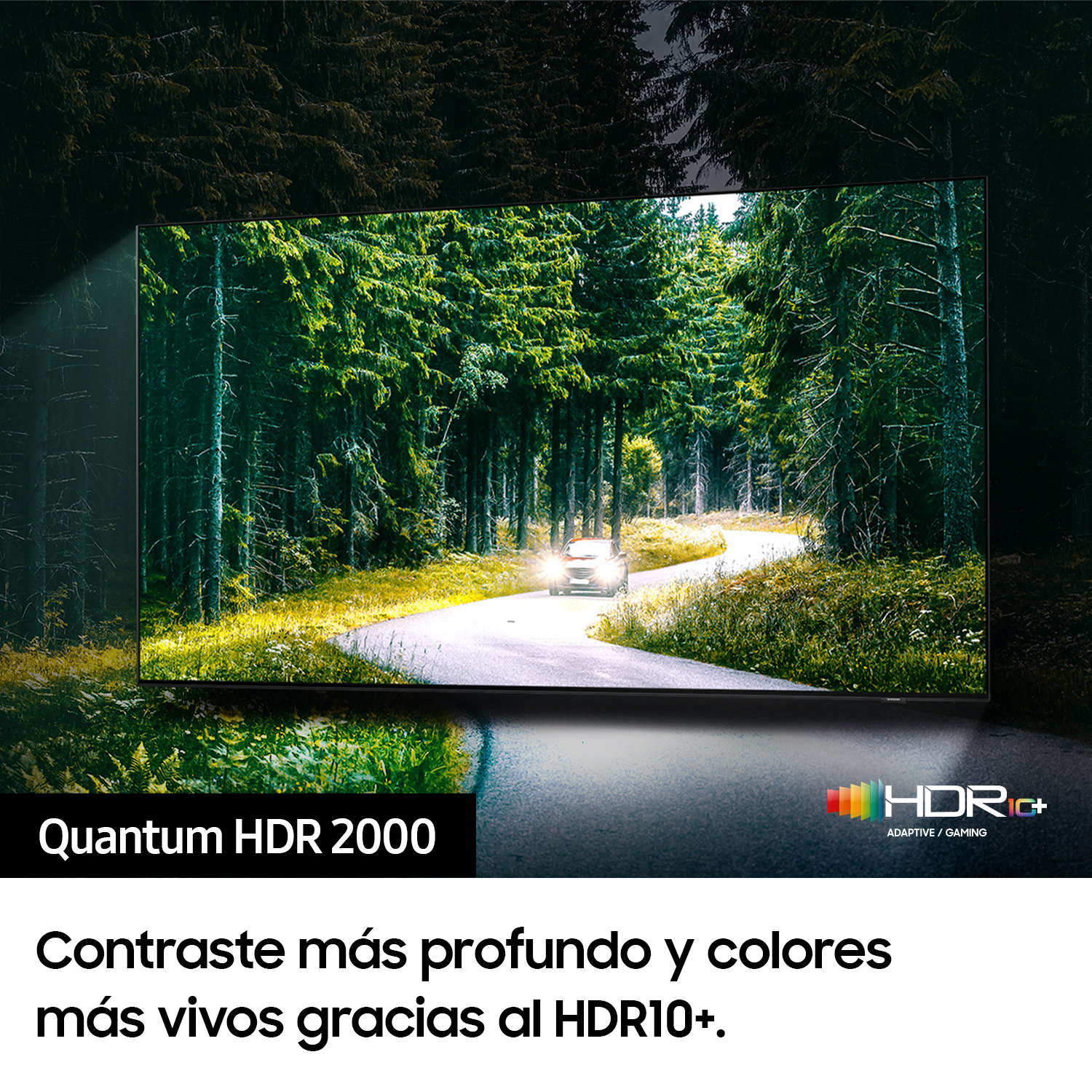 TV mostrando una escena de bosque con un coche en la carretera, logo HDR+ y texto.