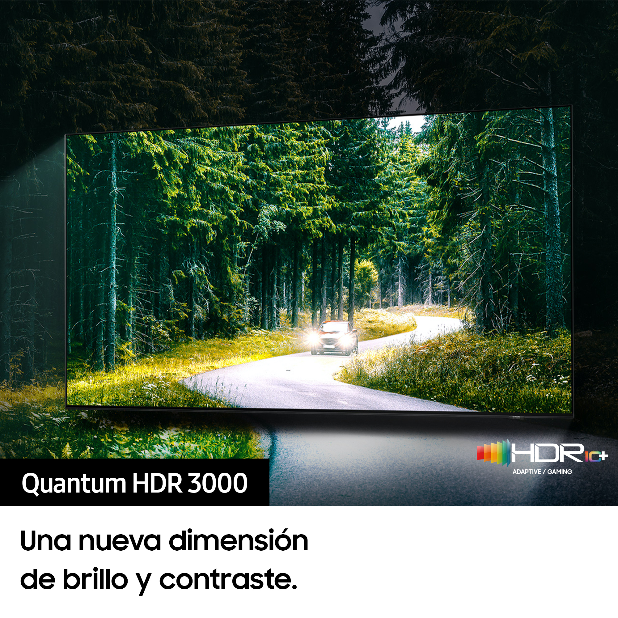Una pantalla de TV que muestra una escena de bosque con una carretera y un coche. Marca HDR+ en la parte inferior.