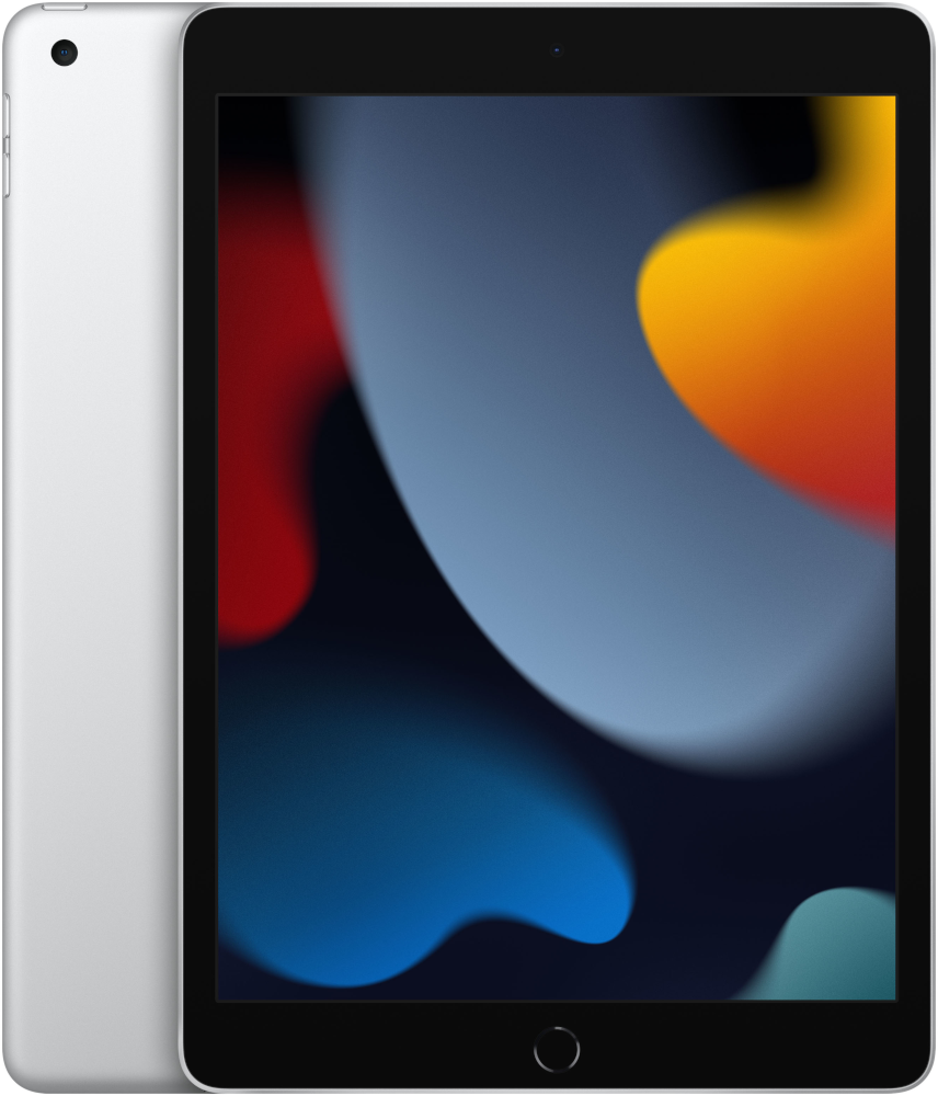 APPLE iPad (2021) Wifi - 256 GB - Zilver