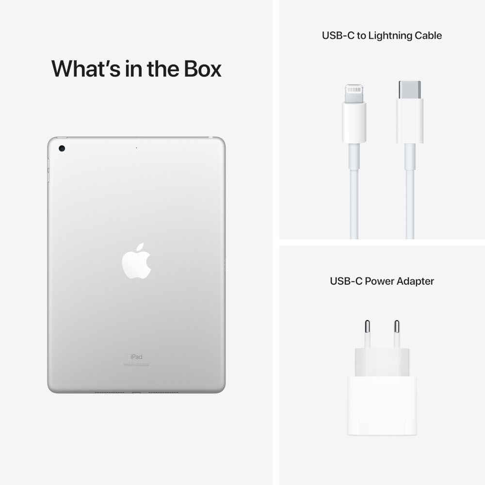 APPLE iPad (2021) Wifi - 256 GB - Zilver