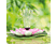 GARDEN OF EDEN 11224B Szolár szökőkút - tavirózsa - rózsaszín  - 180 x 170 mm