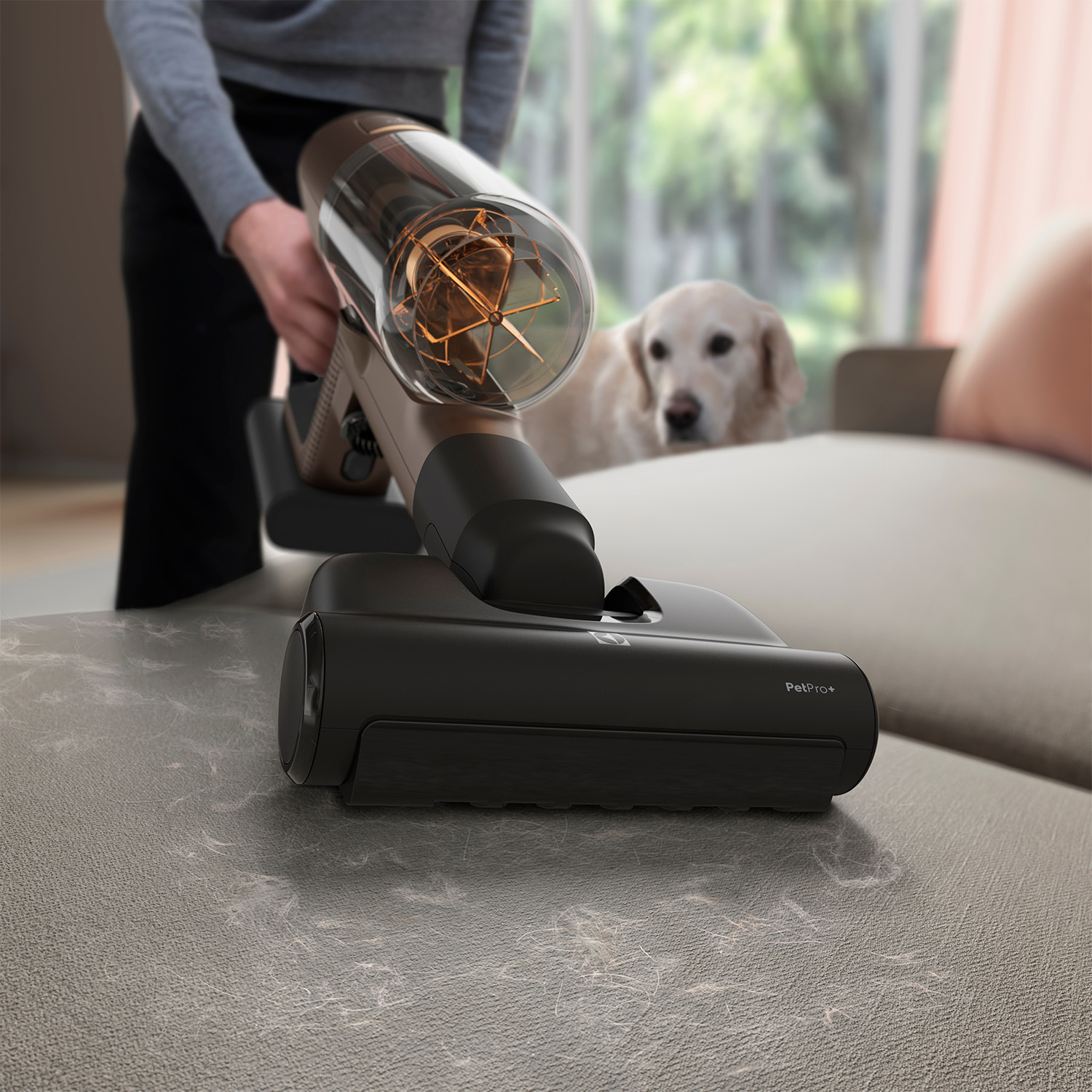 Una persona che aspira un divano con un aspirapolvere PetPro+, un cane è sullo sfondo.