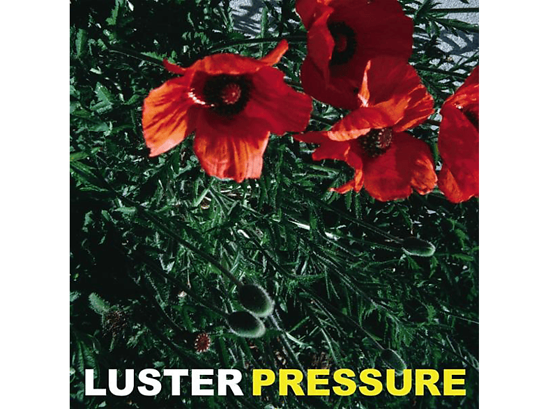 (Vinyl) Luster - PRESSURE -