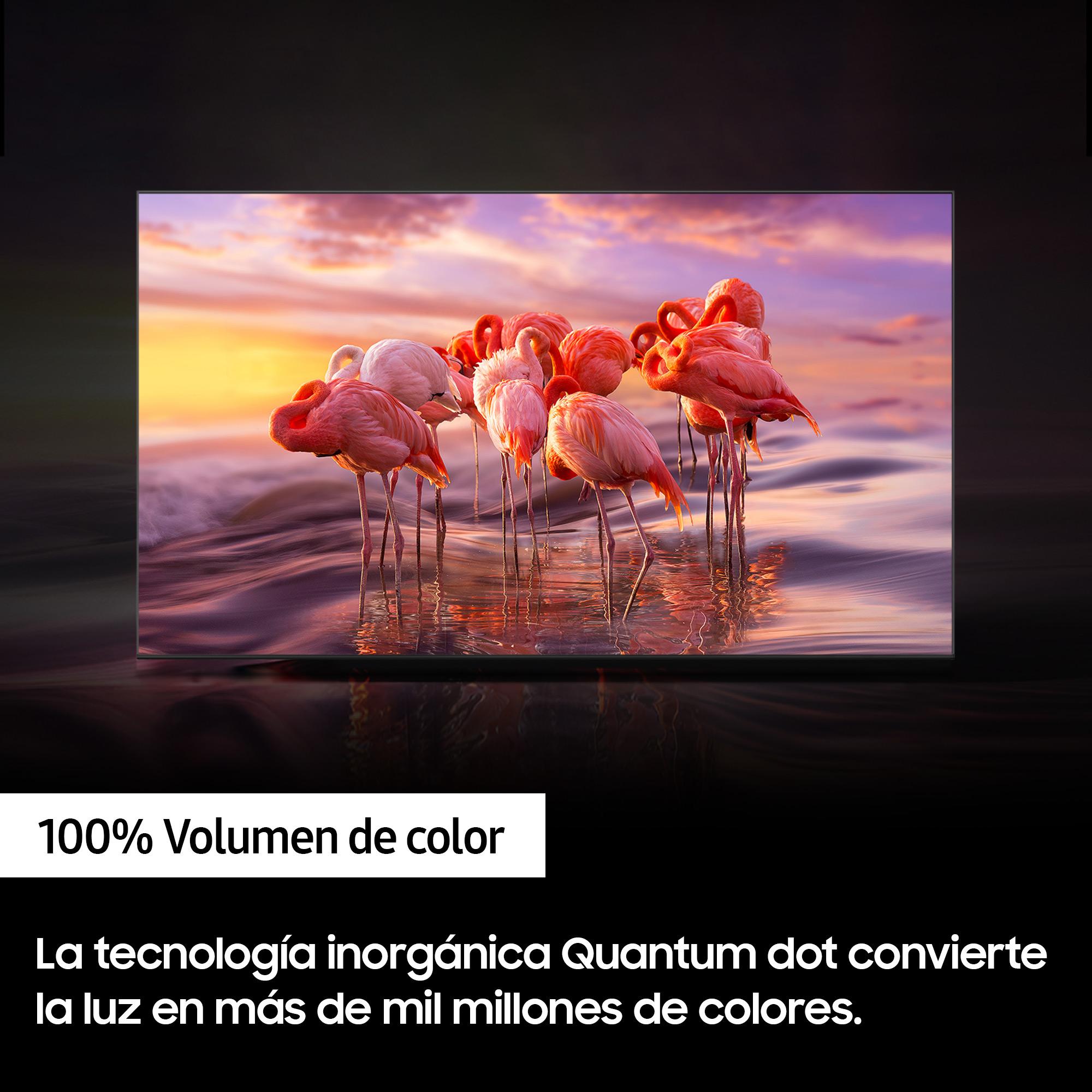 Una pantalla de TV muestra flamencos en el agua. Texto sobre el volumen de color abajo.