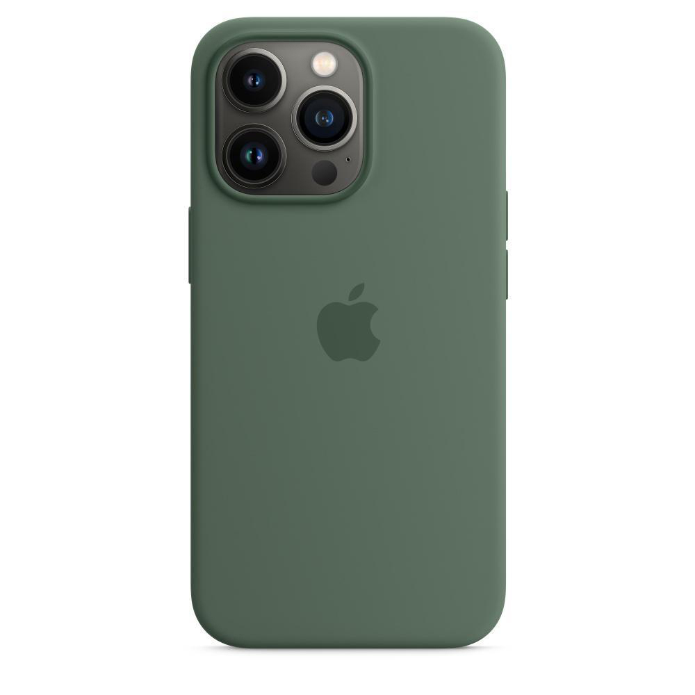Eukalyptus Backcover, APPLE MagSafe, Silikon Apple, Pro, 13 iPhone mit Case