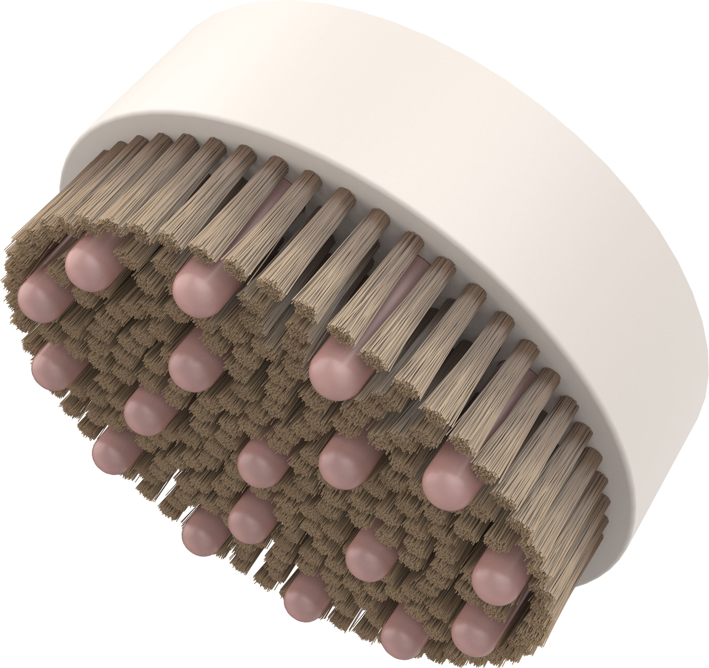 Close-up of a brush head. The brush has light brown bristles with pink tips.