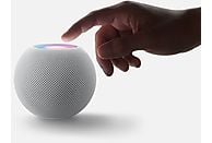 APPLE HomePod mini Spacegrijs