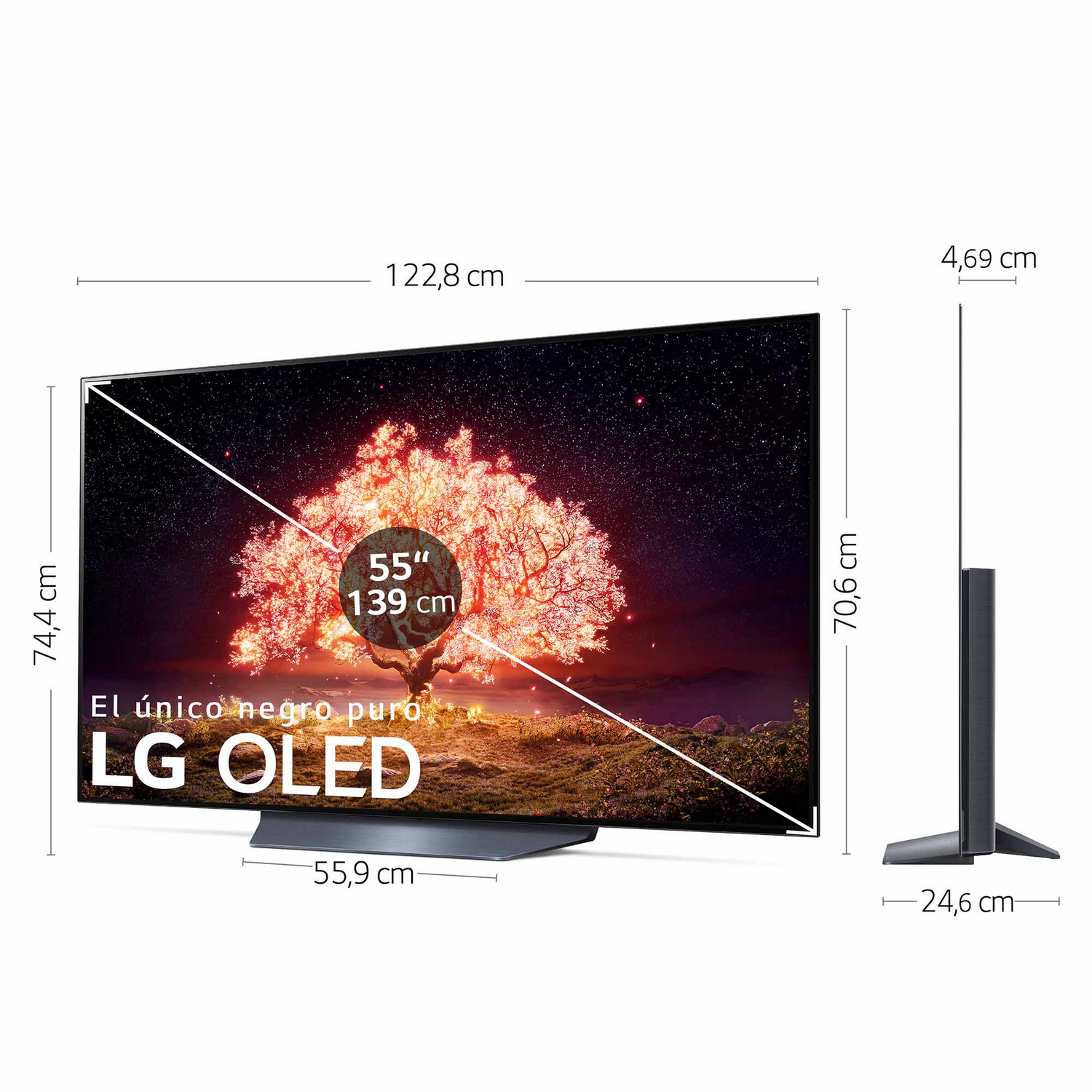 TV LG OLED mostrando un árbol con hojas rojas. Dimensiones en la pantalla.