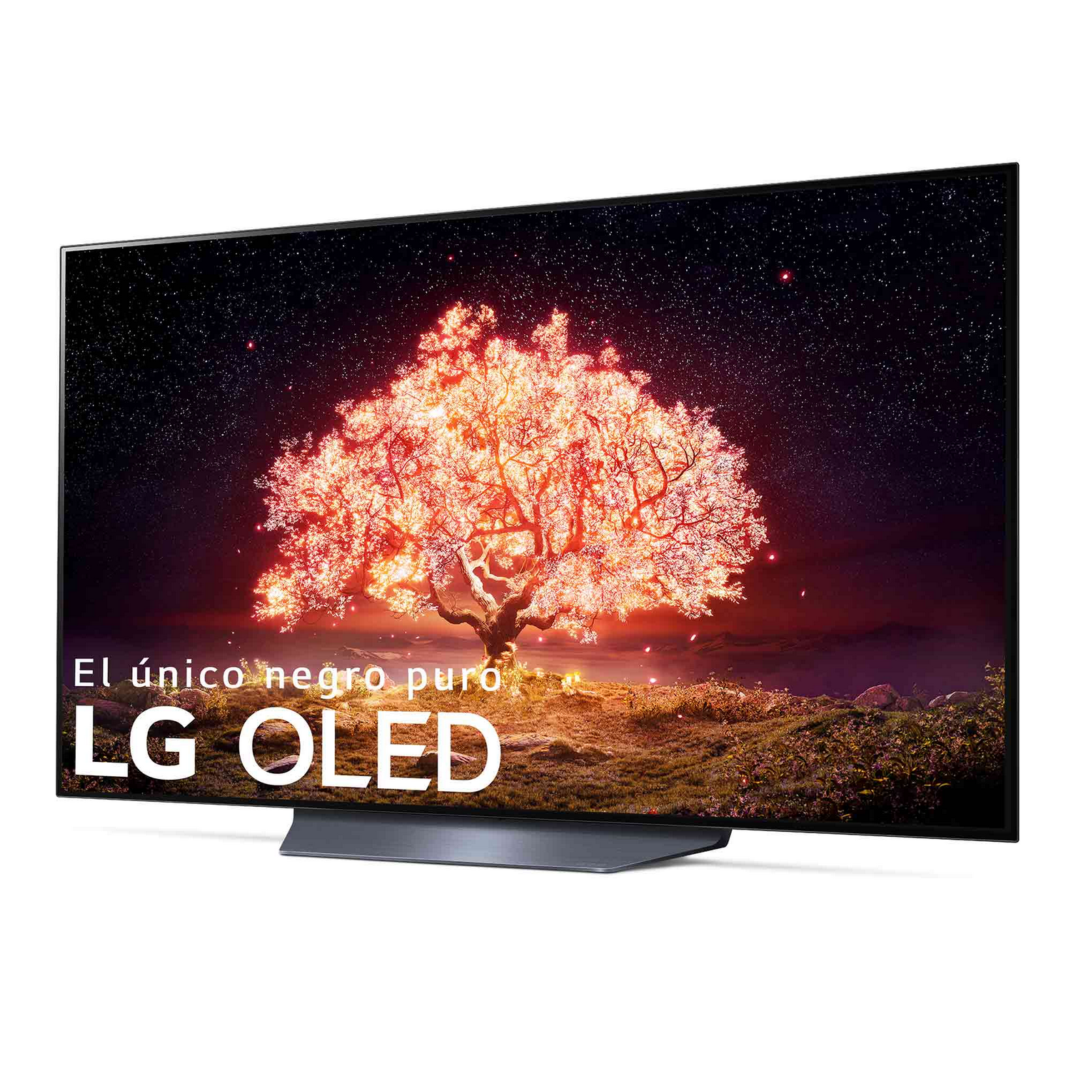 Pantalla de TV mostrando un árbol, con fondo estrellado, marca LG OLED.
