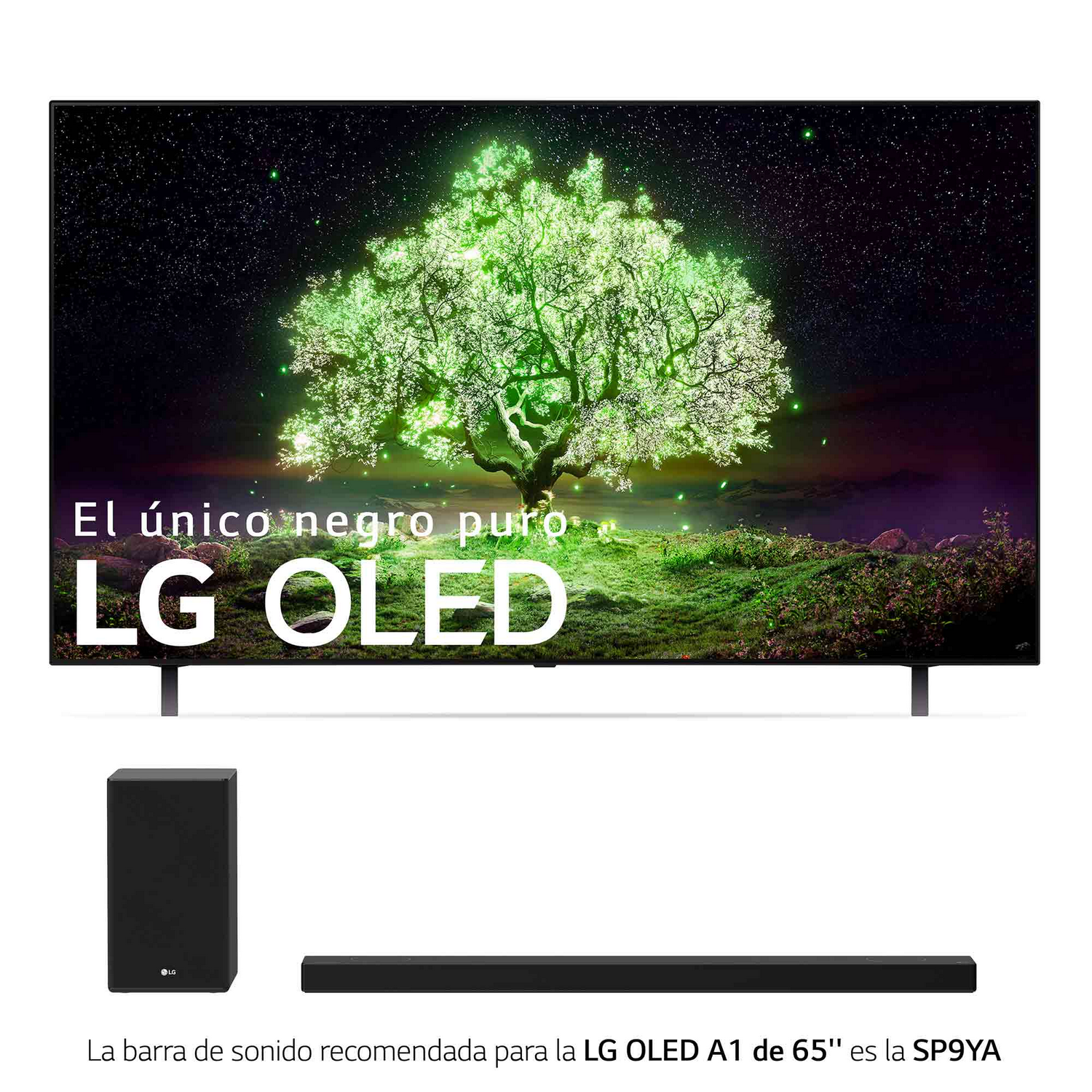 TV LG OLED, barra de sonido y subwoofer mostrando un árbol colorido.