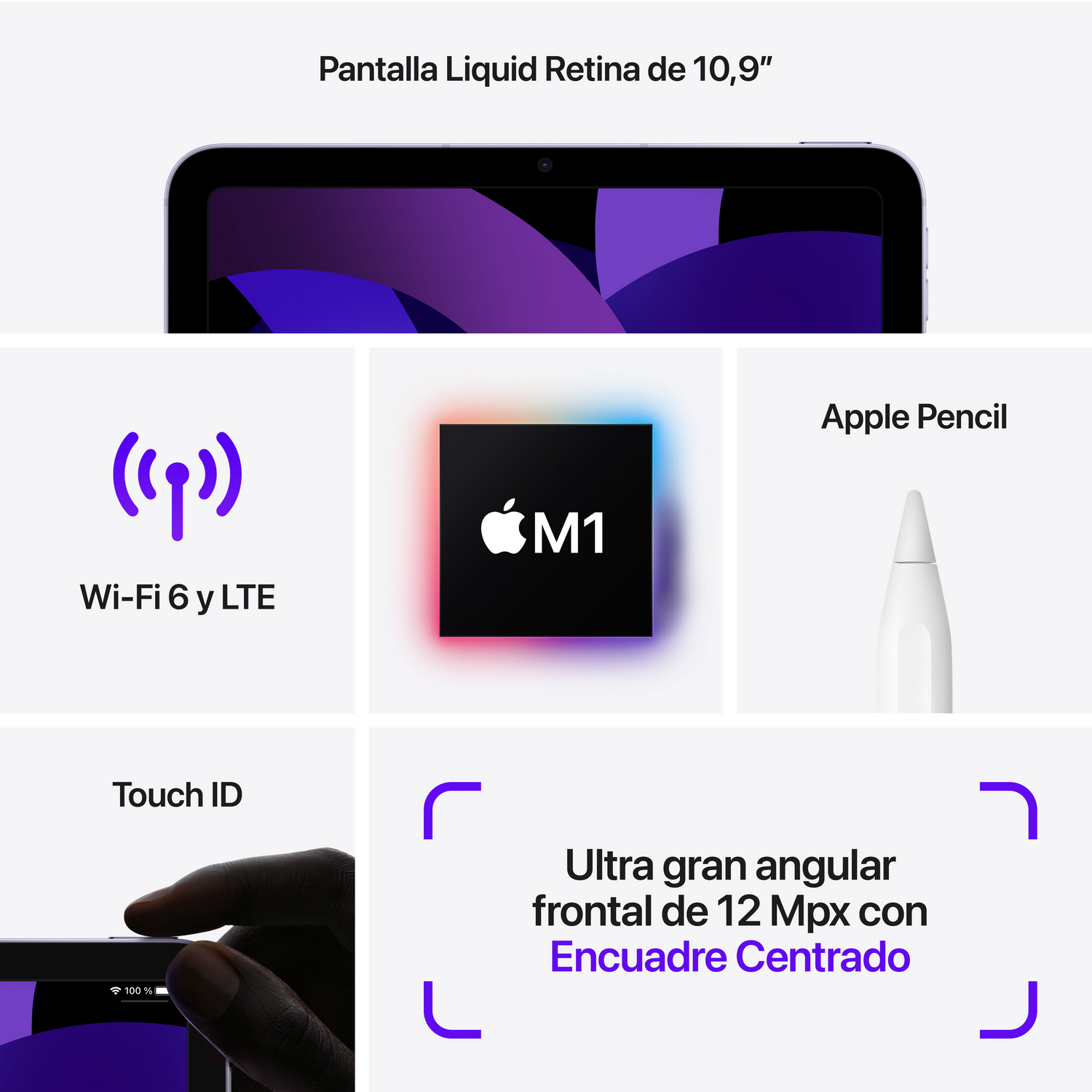 iPad con texto e iconos sobre las características de la tableta. Fondo blanco.