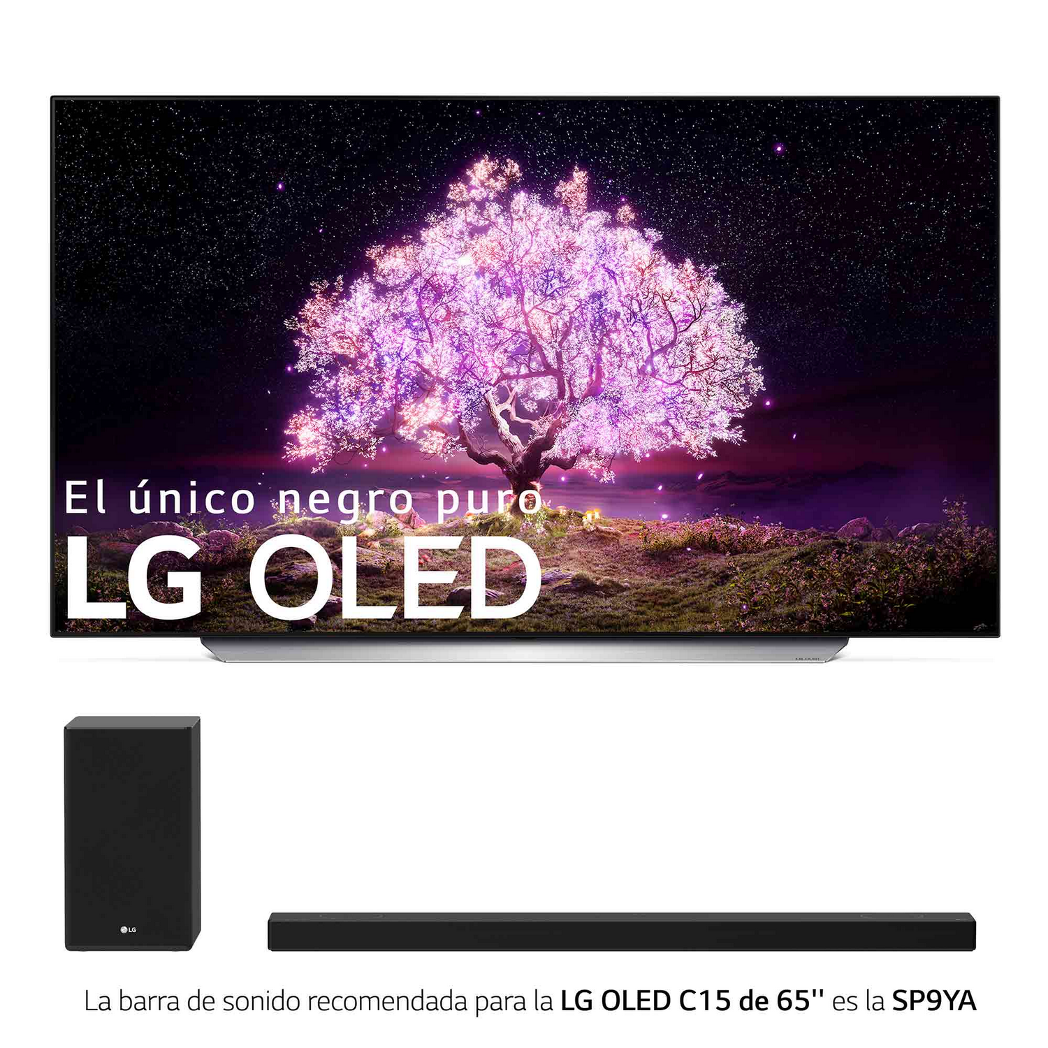Pantalla de TV con una imagen de árbol, con una barra de sonido y un subwoofer debajo.