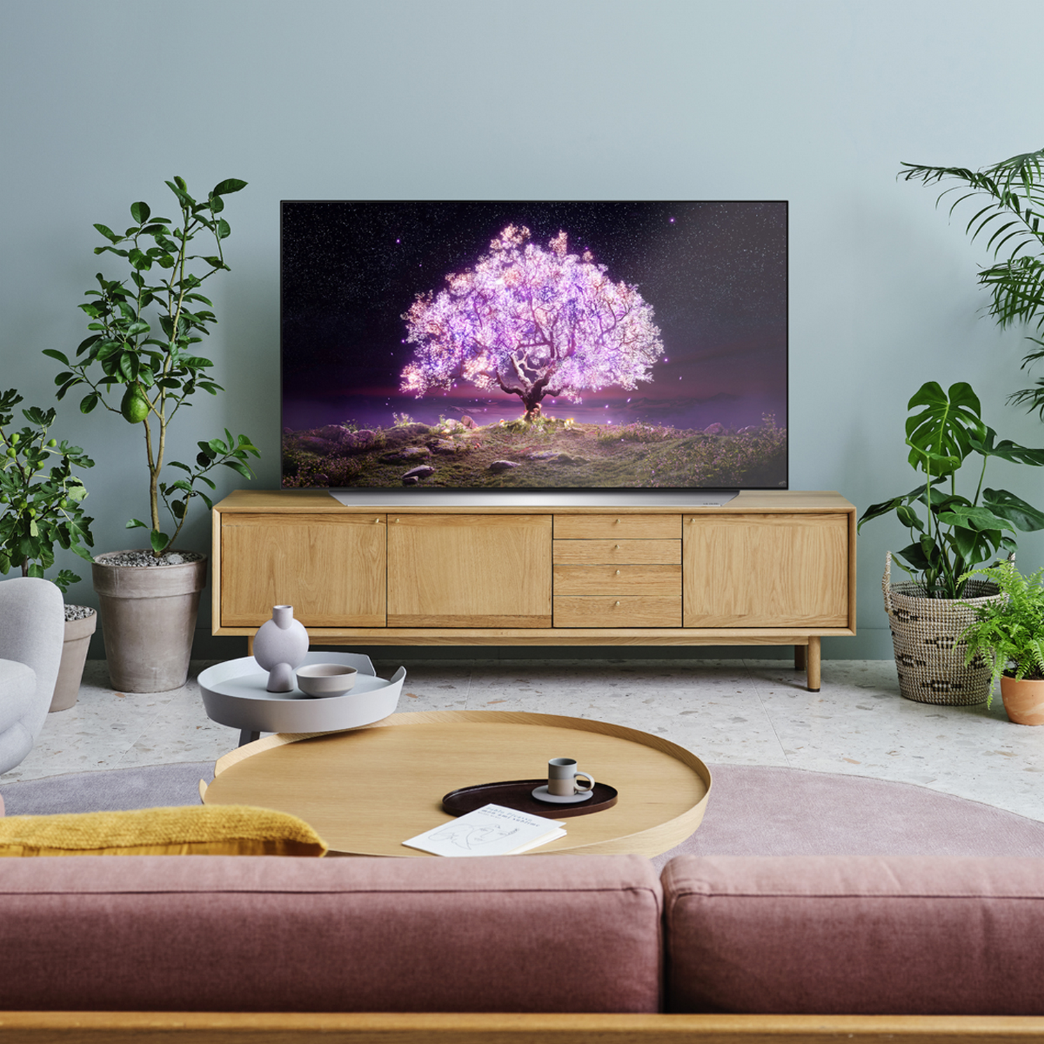 Sala de estar con TV. Sofá rosa, mueble de madera, plantas y alfombra clara.