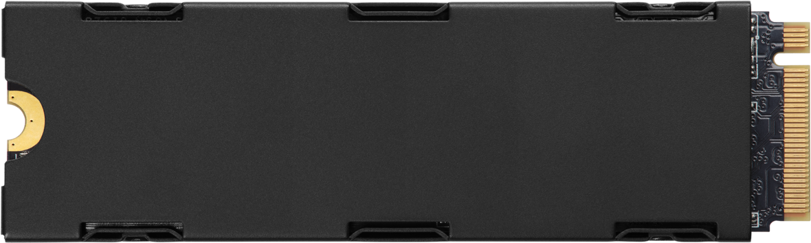 Unità SSD nera con lati argentati. Forma rettangolare, con pin del connettore all'estremità.