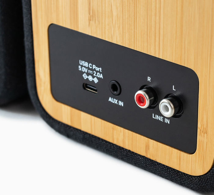Gros plan du panneau arrière d'un haut-parleur en bois avec ports USB, AUX et LINE IN, sur fond blanc.