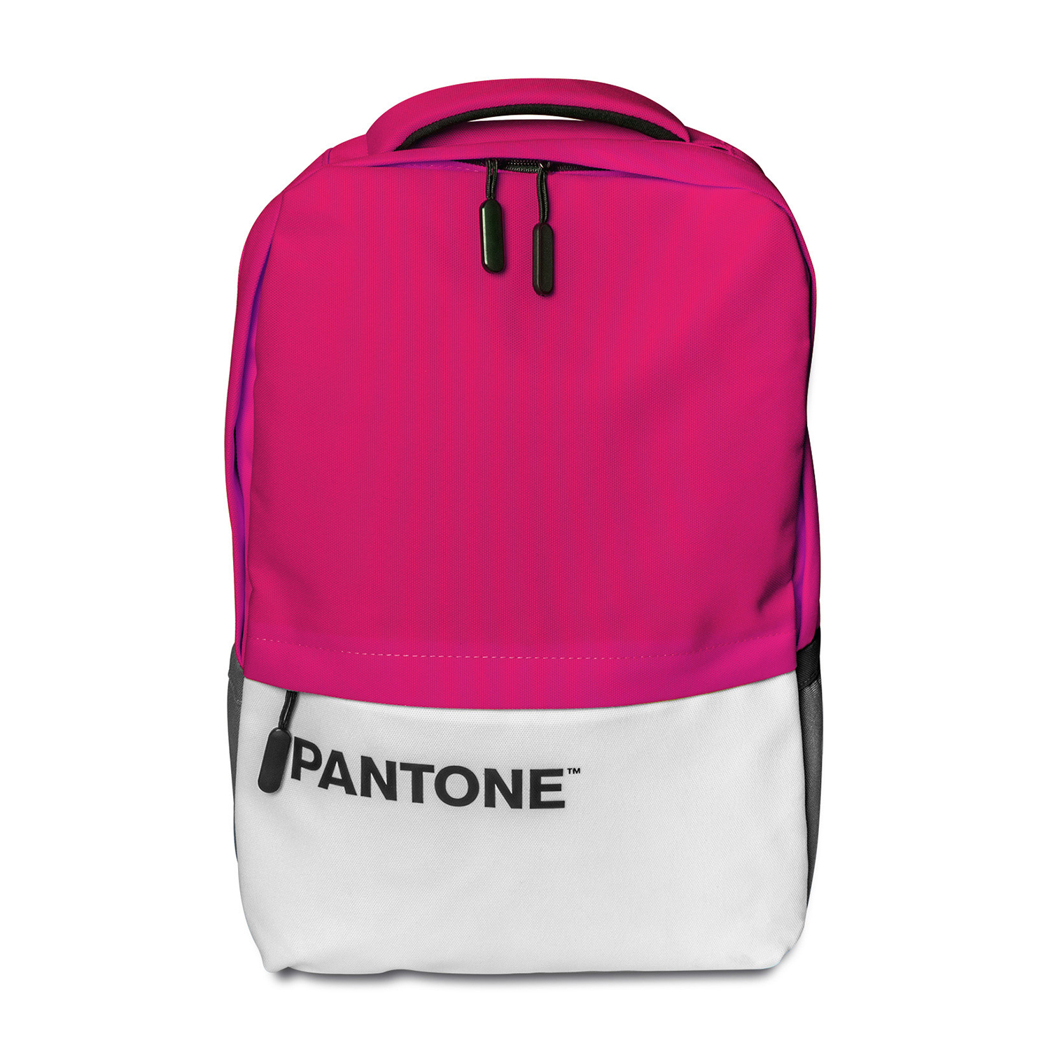 Zaino Pantone Backpack 15.6