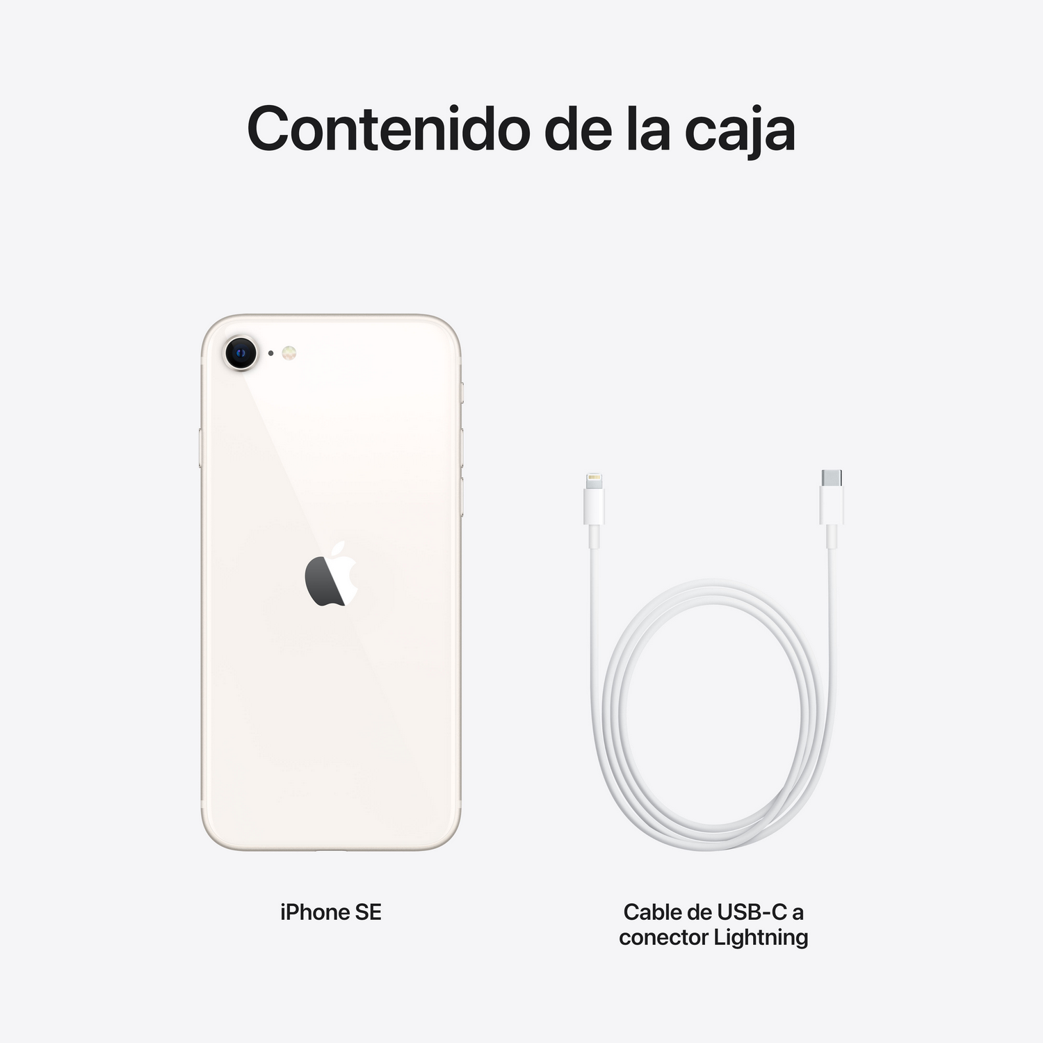 iPhone SE, cable y cargador sobre fondo blanco, diseño del contenido de la caja.