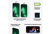 APPLE iPhone 13 Pro Max - 1 TB Green 5G
