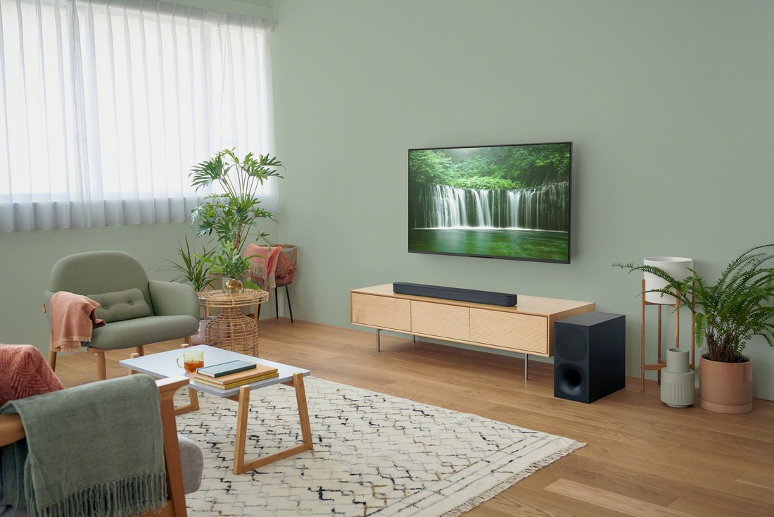 Salón con TV en la pared, sofá, alfombra y plantas. Colores neutros y luz natural.