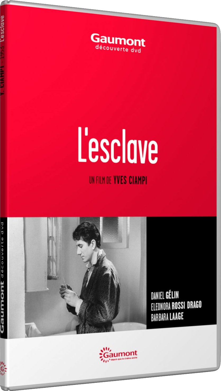 Couverture de DVD avec le titre 'L'esclave'. Un homme dans une pièce regarde vers le bas.
