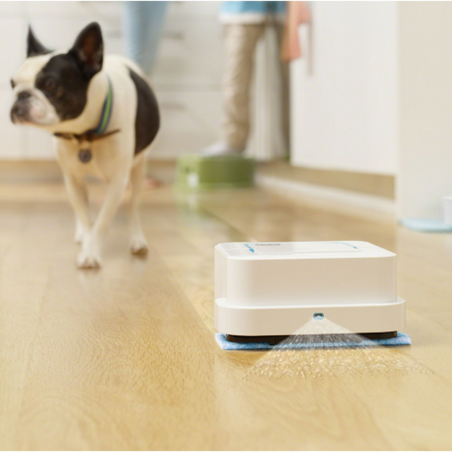 Aspiradora robot limpiando un piso de madera. Perro caminando en el fondo.