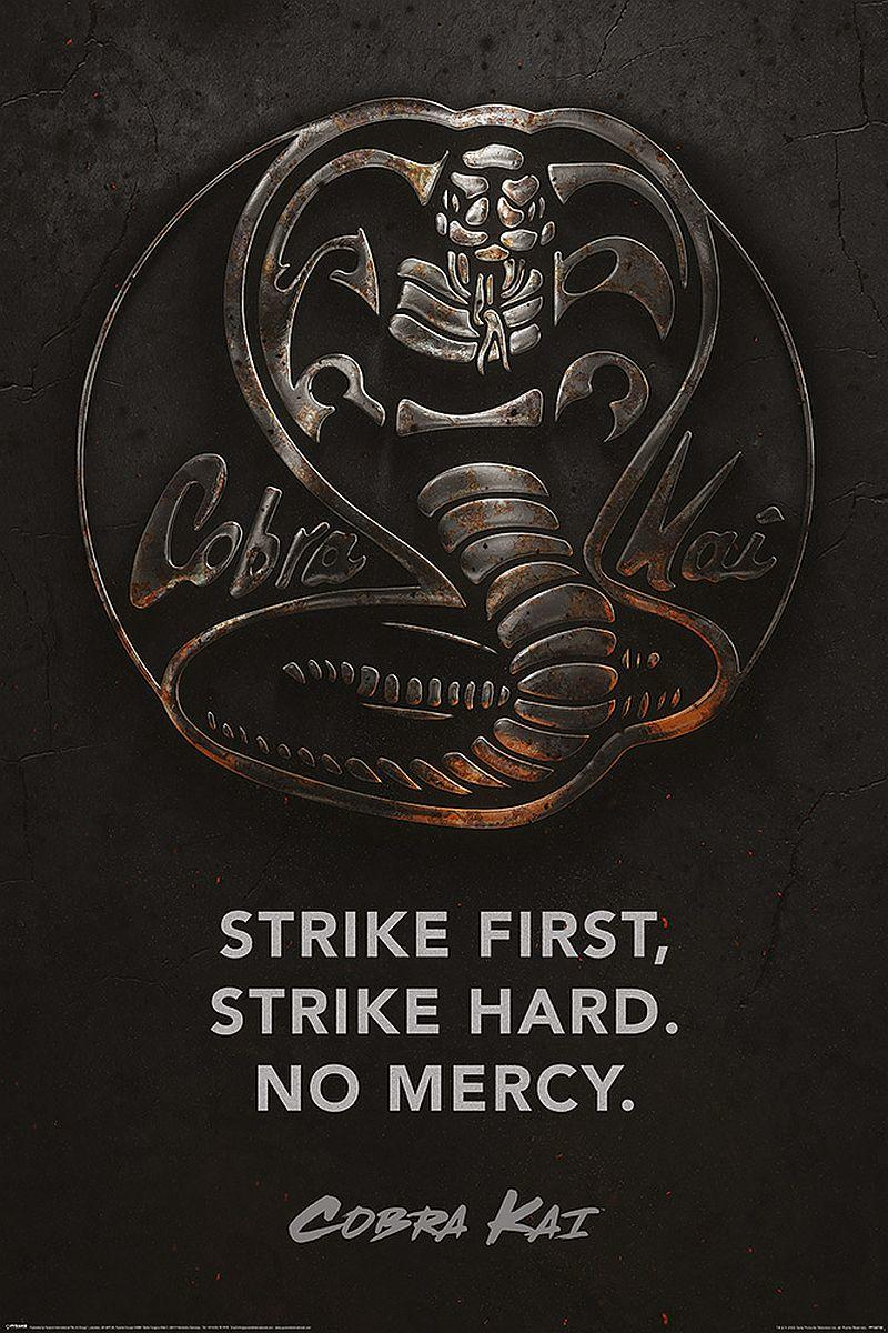 PYRAMID INTERNATIONAL Cobra Kai Karate Poster Kid Hard.. Strike Poster First, Strike