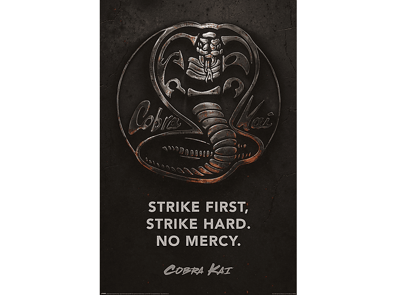 PYRAMID INTERNATIONAL Cobra Kai Karate Poster Kid Hard.. Strike Poster First, Strike