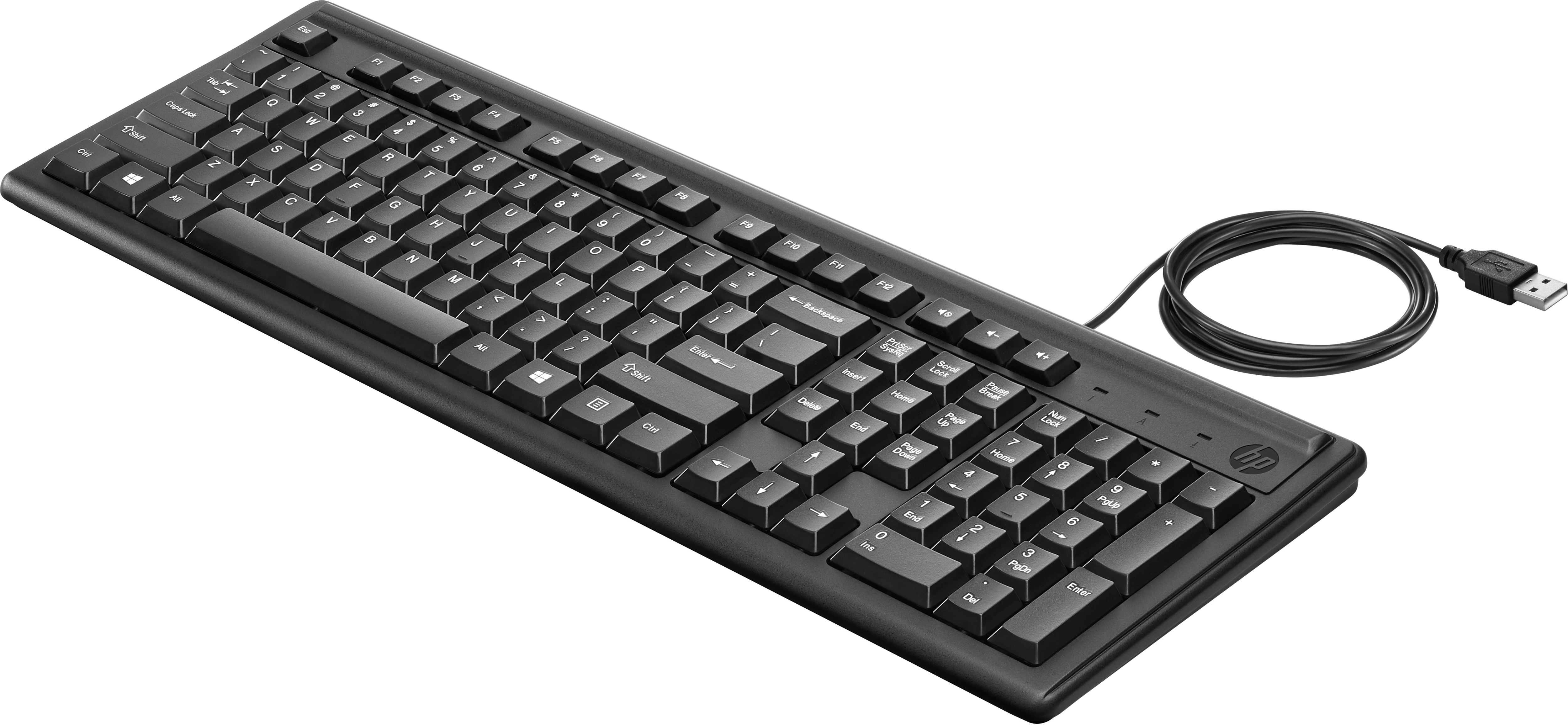 Teclado - HP Teclado 100, Conexión USB, Negro