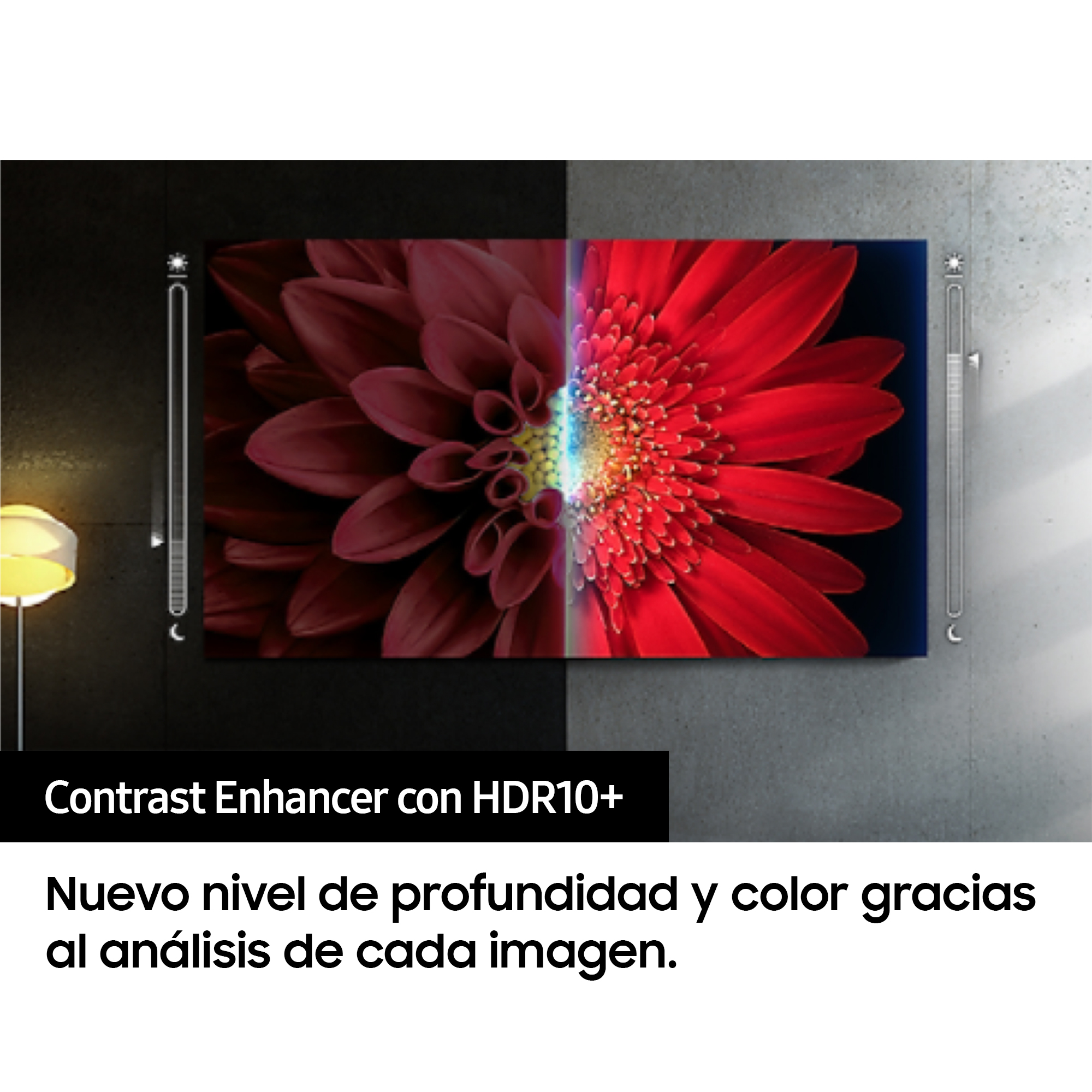 Una pantalla dividida que muestra una vibrante flor roja, con texto que indica la mejora del contraste.