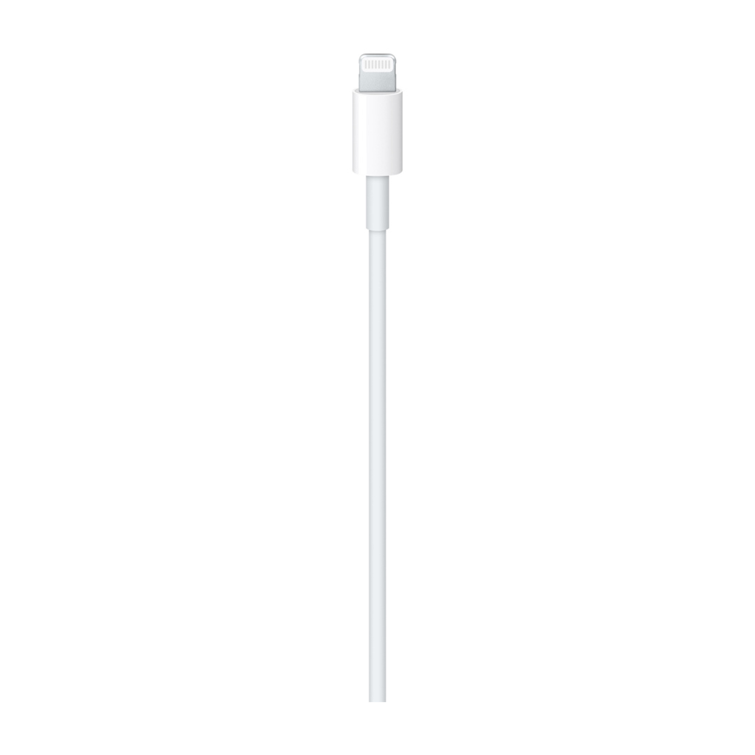 Connettore per cavo Lightning bianco su sfondo bianco. Il cavo è dritto.