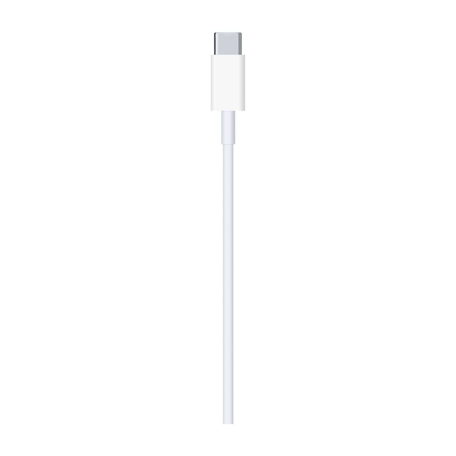 Connettore USB-C bianco su cavo bianco. Il cavo è dritto e su sfondo bianco.