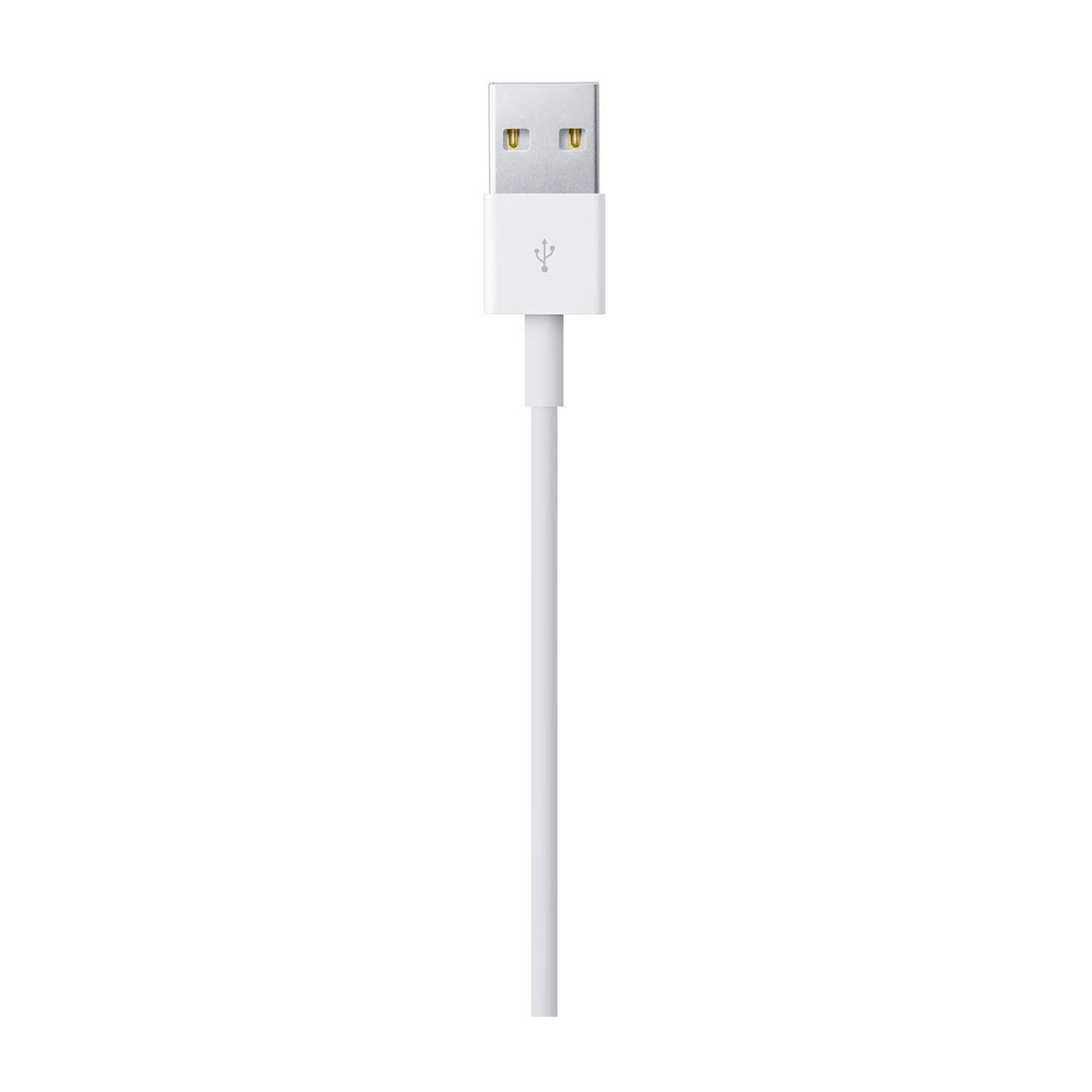 Connettore per cavo USB bianco. Il connettore è su sfondo bianco.