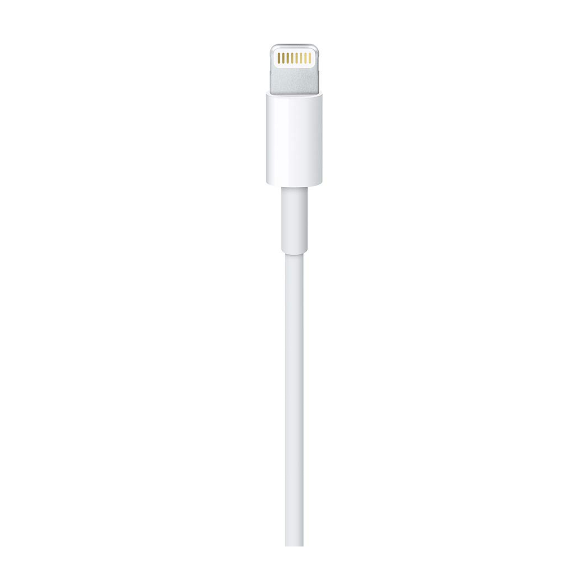 Connettore per cavo Lightning bianco su sfondo bianco. Il connettore è dritto.