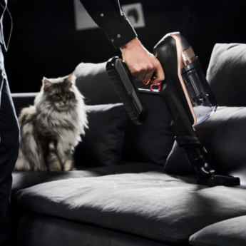Persona che aspira un divano grigio con un gatto vicino, aspirapolvere nero e oro.