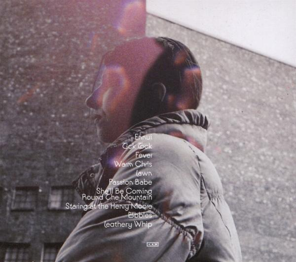 Aldous Harding - Warm Chris  - (CD)